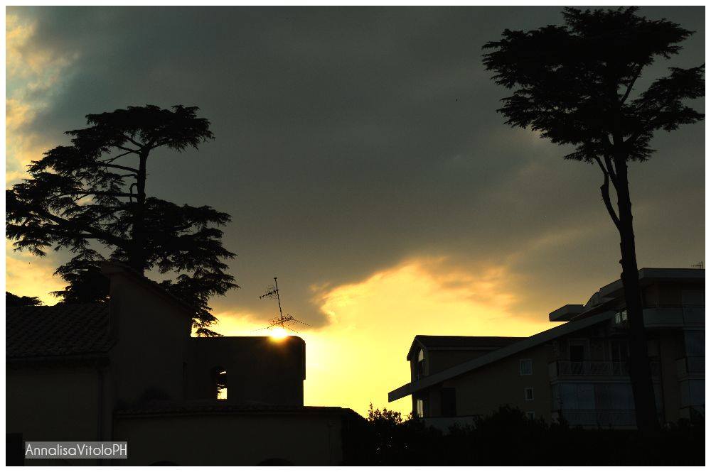 20107828_480897338912575_745527838_o