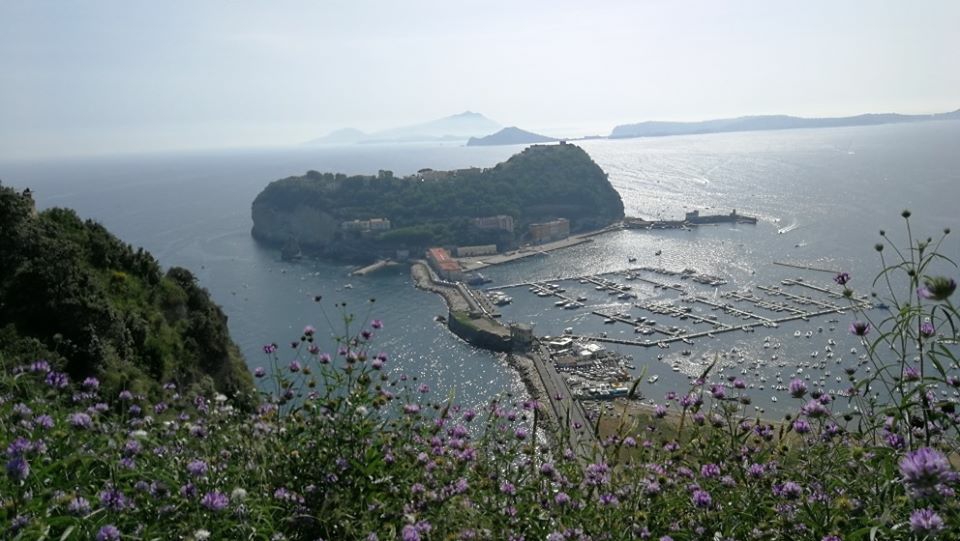 inbound8492862431648332864