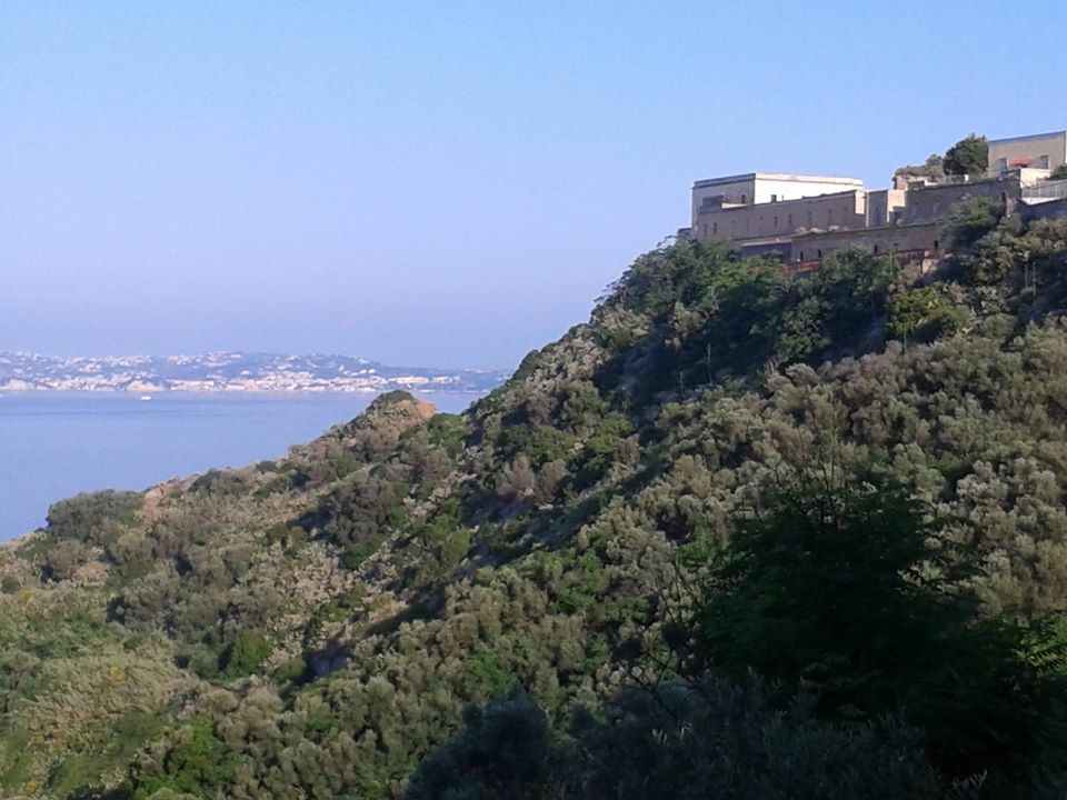 inbound888379389391930810